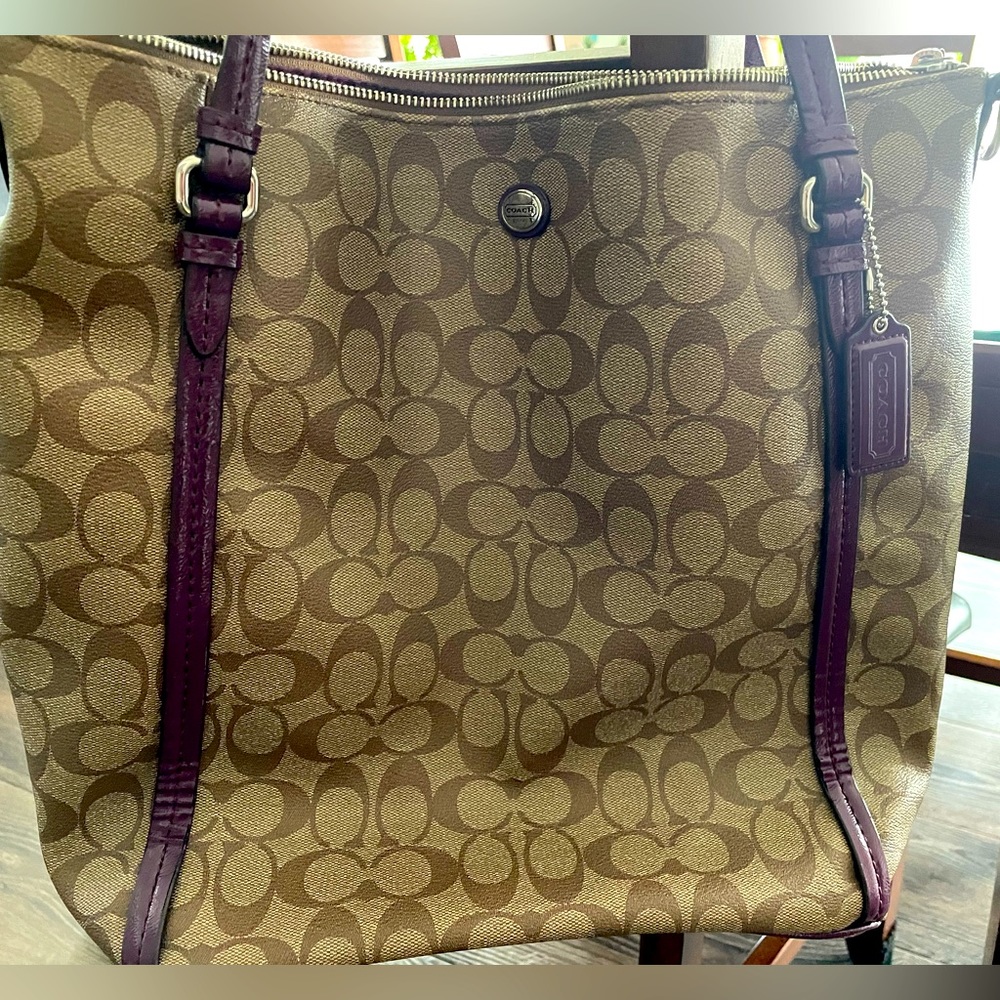 Coach F24601 Peyton Signature Convertible Shoulder Bag